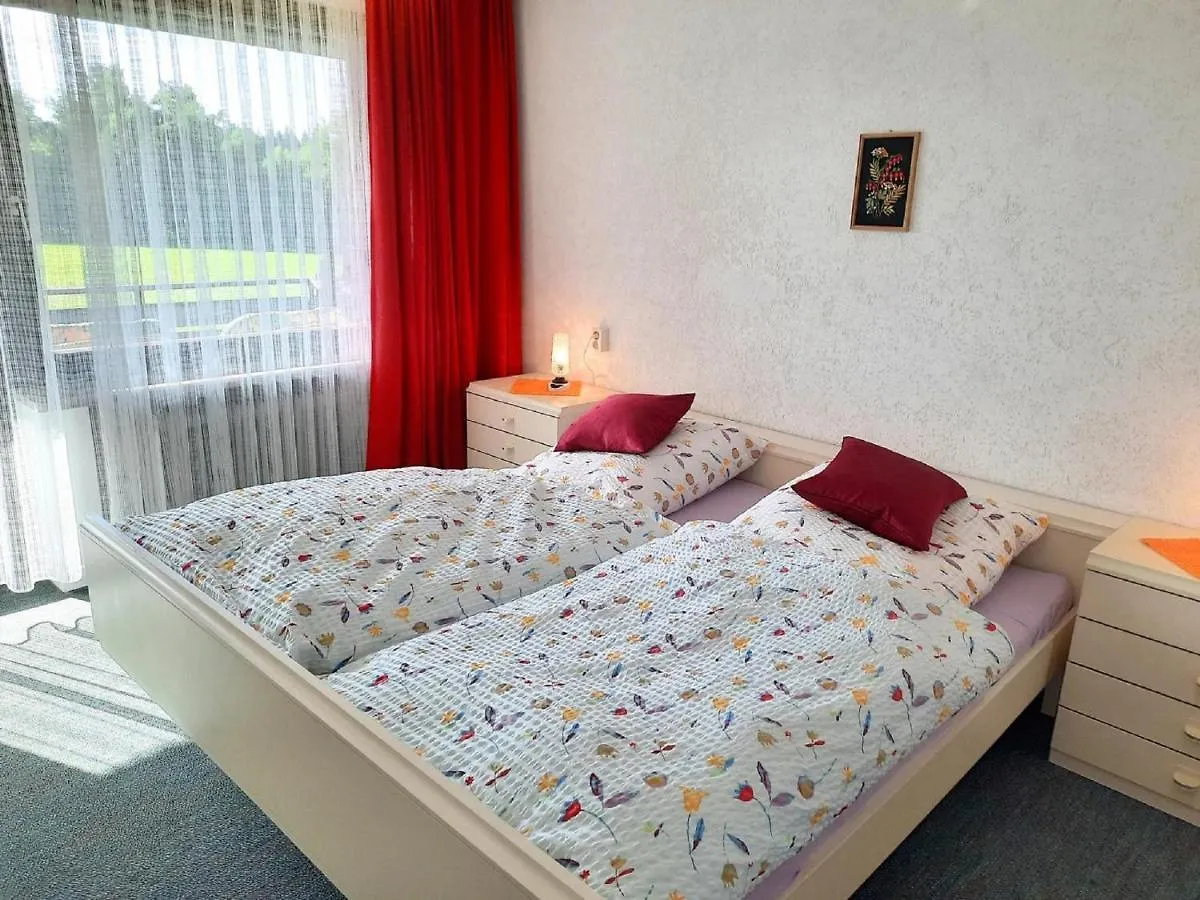 Pension Schneider Frauenau